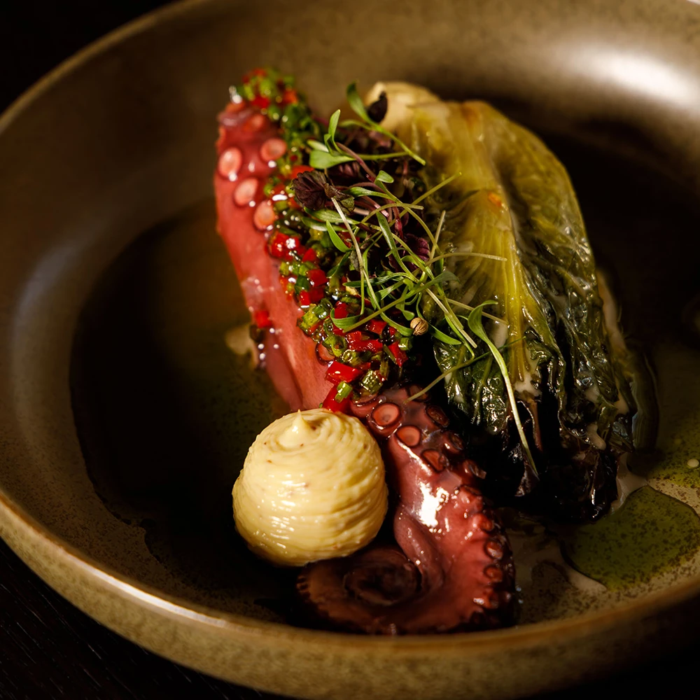 Kreativ angerichtetes Fine Dining Gericht auf hochwertigem Teller